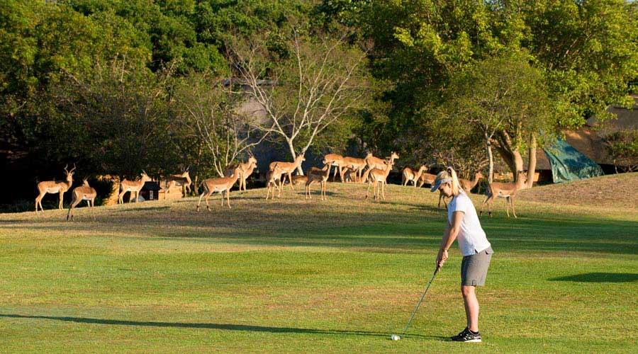 Kruger Park Lodge Hazyview Exterior foto